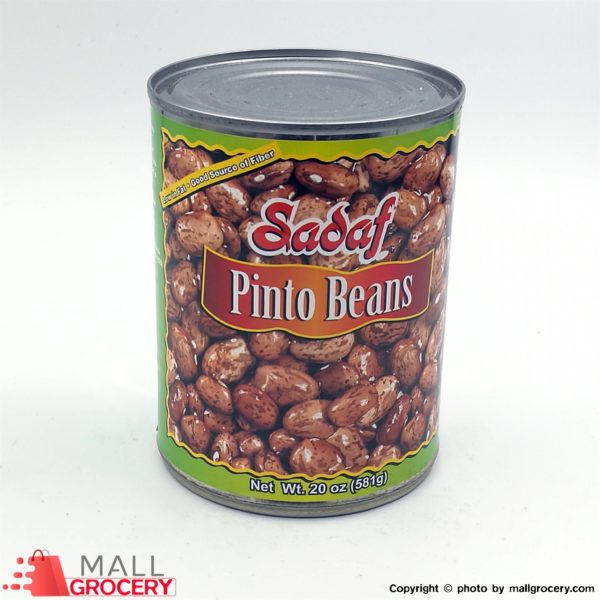 Sadaf-Pinto Beans 20 Oz 581 Gr