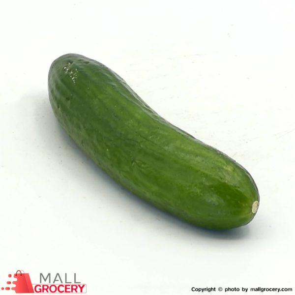Cucumber