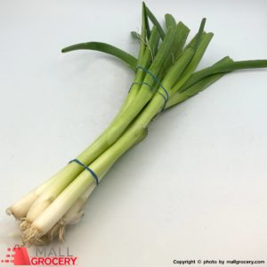 Scallion Green Onions Spring Onions Or Salad Onions Fresh