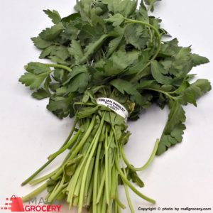 Italian Parsley 4901 Pacific 96 G-Vegetables