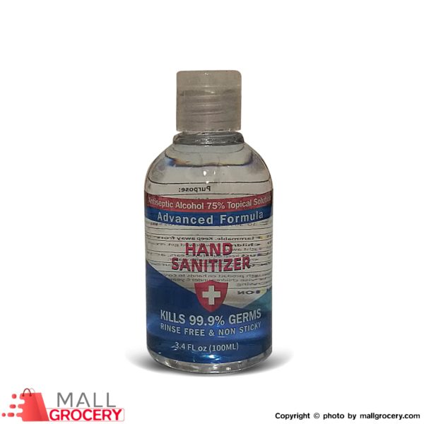 Hand Sanitizer Alcohol 75 3.4 Fl oz 100 Ml