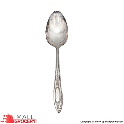 Steel Spoons-Set of 2