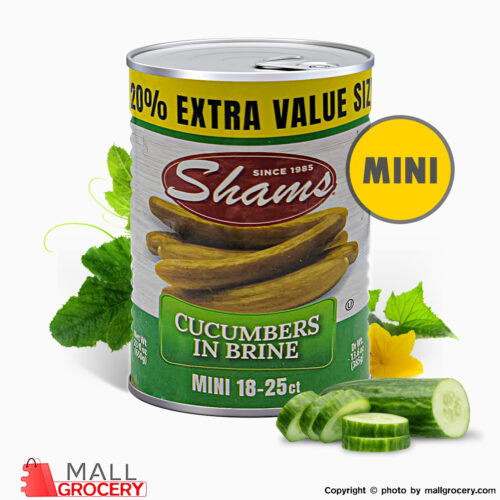 Shams-Cucumbers In Brine 18-25 small 23 Fl Oz 650 Gr