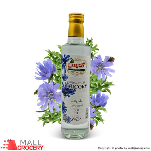 Goldis-Herbal Water Chicory 500 ml